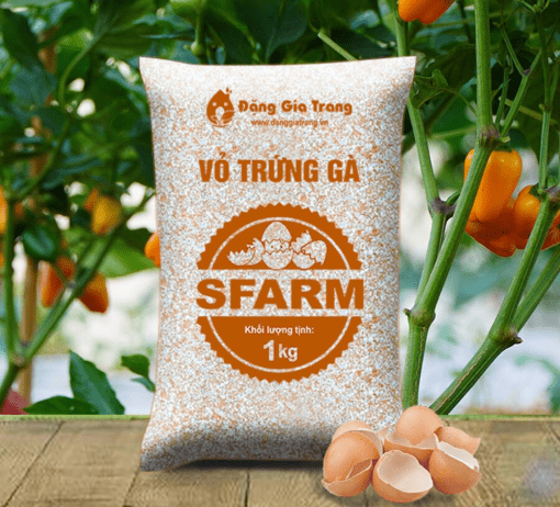 Vỏ trứng gà SFARM (1kg) - Cải tạo đất, bổ sung Canxi, cho cây con, rau màu
