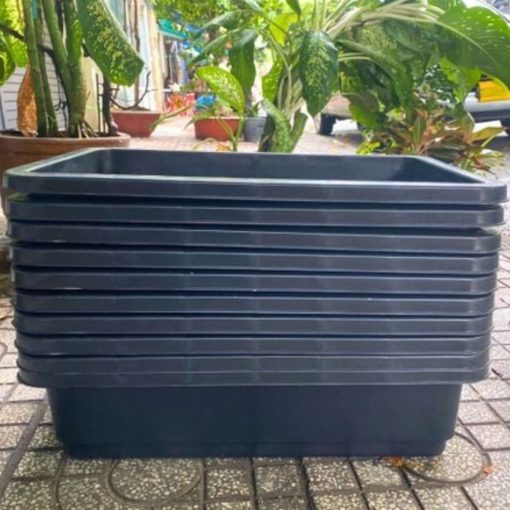 Chậu Trồng Rau Thông Minh 67x42x16cm - Nhựa PP bền màu, thoát nước tốt