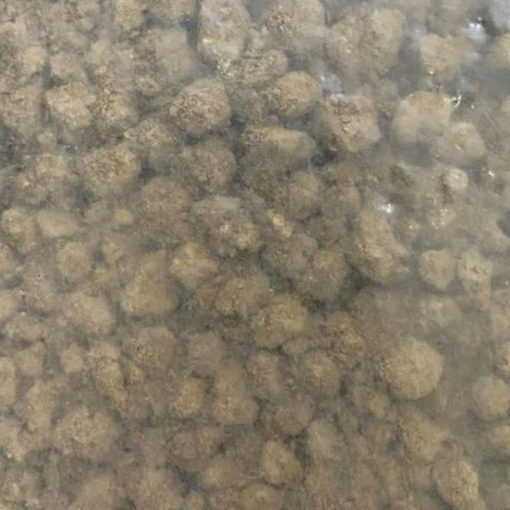 Đất AKADAMA Super Hard – Phân nền giữ ẩm, thoát nước tốt cho cây cảnh