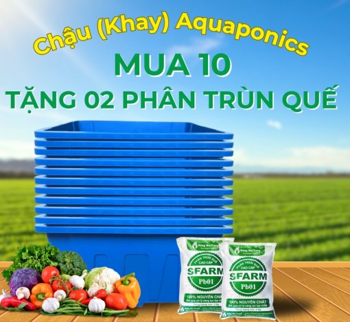 Chậu Aquaponics chuyên trồng rau củ quả, cây ăn trái - Chậu Loại 1