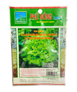 Hạt giống Xà lách xoăn sư tử hạt đen NO.8 - Gói 5 gram