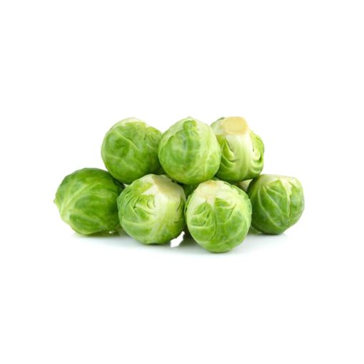 Hạt giống Bắp cải tí hon BRUSSELS SPROUT 219 - Gói 2 gram