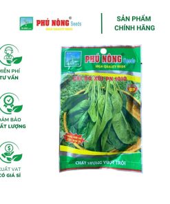 Hạt giống Cải bó xôi (chịu nhiệt) PN 1010