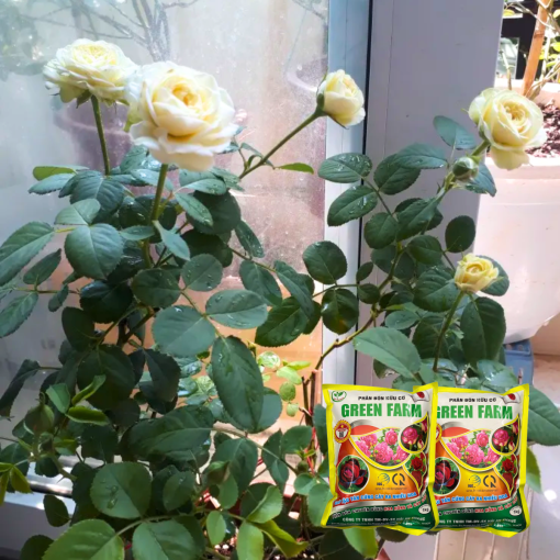 Phân bón hữu cơ hoa hồng và cây kiểng giúp cải tạo đất tăng đậu hoa - Green Farm - Gói 1kg