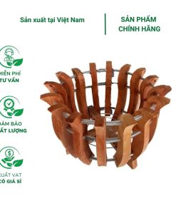 Chậu trồng lan hình lọng gỗ nhãn già - HN