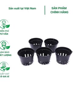 Chậu nhựa cứng trồng lan
