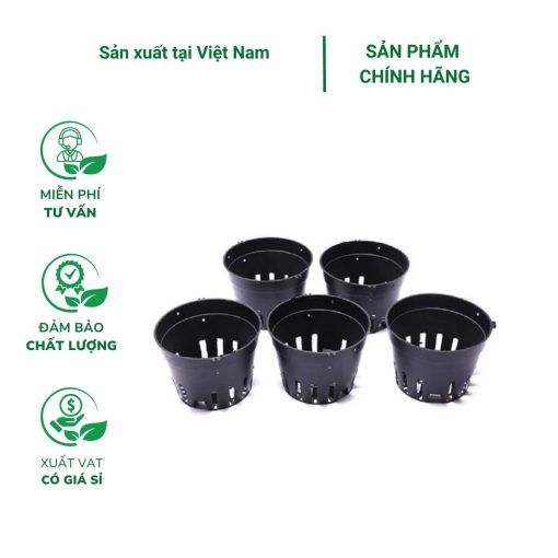 Chậu nhựa cứng trồng lan