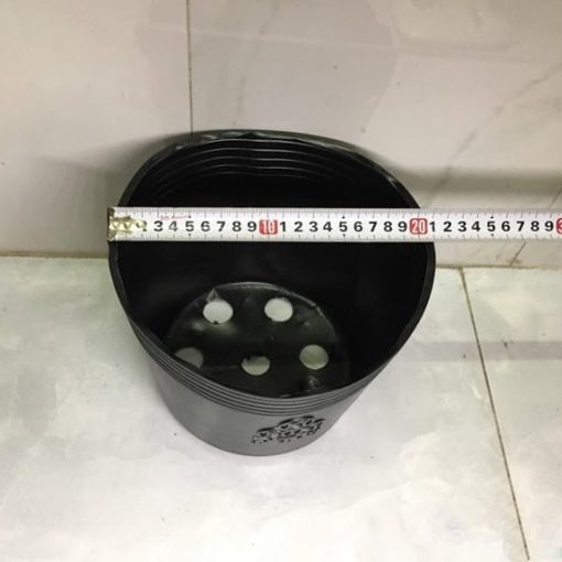 Chậu nhựa trồng cây (túi bầu ươm cây) mềm màu đen - Chậu nhựa PP chịu lực tốt, chịu ẩm, nhiệt cao, bền