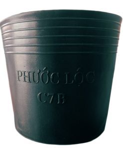 Chậu nhựa mềm (Túi bầu ươm cây) trồng cây (ĐN)