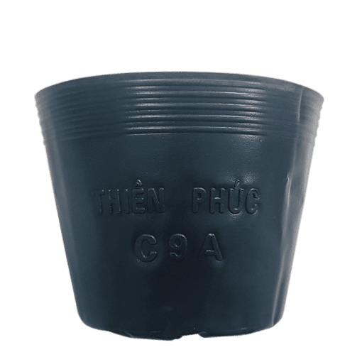Chậu nhựa mềm trồng cây (Túi bầu ươm cây)