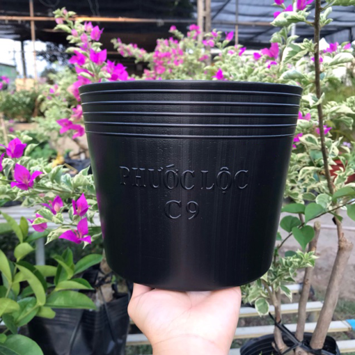 Chậu nhựa mềm trồng cây (Túi bầu ươm cây)