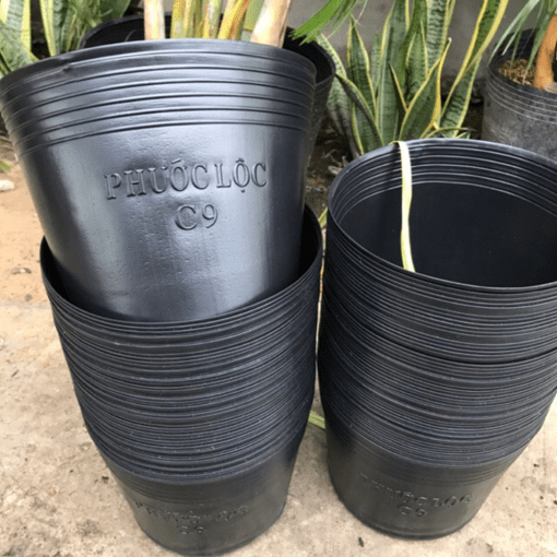 Chậu nhựa mềm trồng cây (Túi bầu ươm cây)