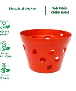 Chậu nhựa trồng lan giả đất nung