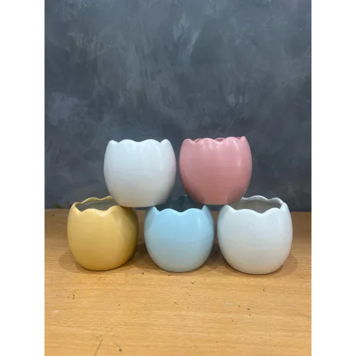 chậu sứ mini Bát Tràng trồng cây sen đá, xương rồng, cây văn phòng