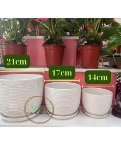 Chậu sứ trắng in hoa văn đường kính 21cm-17cm – 14cm – 11cm