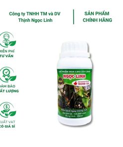 Chế phẩm Ngọc Linh đặc trị thối nhũn 12h - chai 250ml