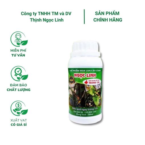 Chế phẩm Ngọc Linh đặc trị thối nhũn 12h - chai 250ml