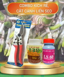 Bộ ba kích rễ - liền sẹo - cắt cành cho cây kiểng - Tại CH TP. HCM