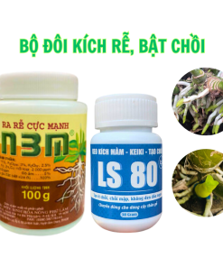 Bộ kích LS80 + N3M - Đâm chồi, ra lá, dưỡng cây cảnh và bonsai