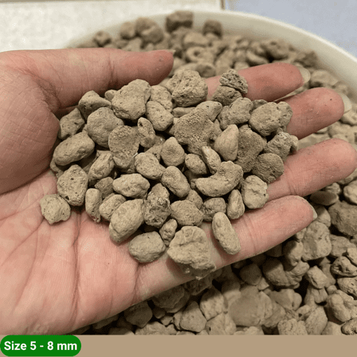 Đá Pumice – Đá bọt trồng cây thoáng khí, giữ ẩm, thoát nước tốt cho cây cảnh
