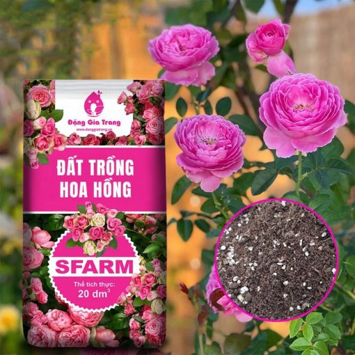 Đất trồng hoa hồng Sfarm (20dm³) - Đất sạch trồng hoa hồng, dinh dưỡng hữu cơ, tơi xốp, không cần trộn thêm