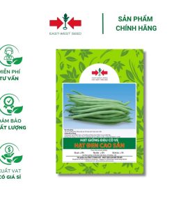 Hạt giống Đậu Cove hạt đen cao sản East-West Seed (Hai Mũi Tên Đỏ) - Gói 100gr