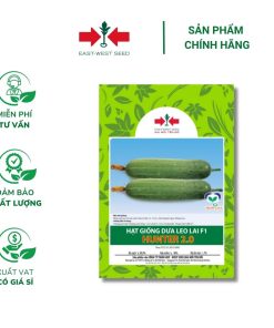 Hạt giống Dưa leo lai F1 Hunter 2.0 East-West Seed (Hai Mũi Tên Đỏ) - Gói 50 hạt