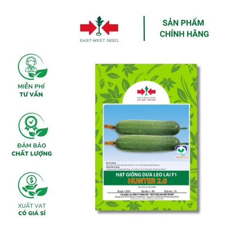 Hạt giống Dưa leo lai F1 Hunter 2.0 East-West Seed (Hai Mũi Tên Đỏ) - Gói 50 hạt