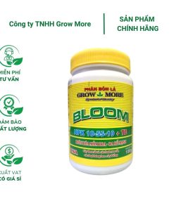 Phân bón lá Growmore Bloom 10-55-10+TE kích thích hoa, kích nụ cho hoa mai, hoa lan