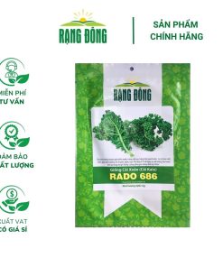 Hạt giống Cải Xoăn (Cải Kale) RADO 686 - Gói 5 gram