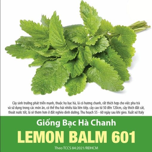 Hạt giống Bạc hà chanh LEMON BALM 601 - Gói 1 gram