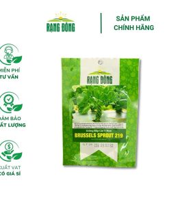 Hạt giống Bắp cải tí hon BRUSSELS SPROUT 219 - Gói 2 gram