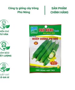Hạt giống mướp hương F1 PN 500 - Gói 1 gram