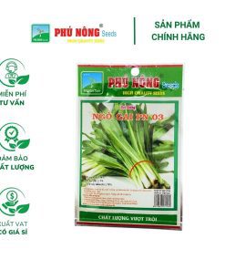 Hạt giống Ngò gai PN 03