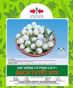 Hạt giống Cà pháo Bạch Tuyết lai F1 979 East-West Seed (Hai Mũi Tên Đỏ) - Gói 1gr