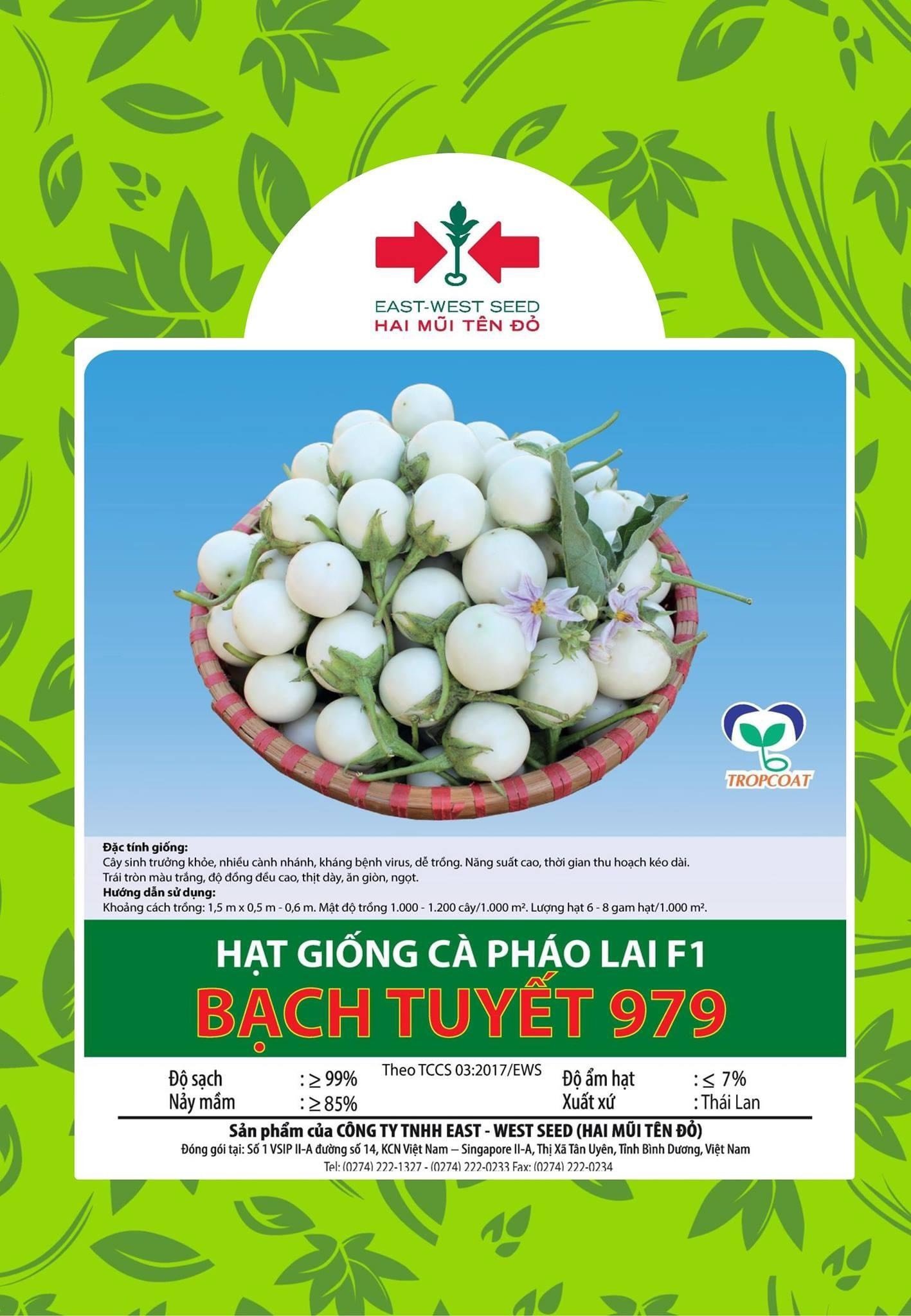hat_giong_ca_phao_lai_f1_-_bach_tuyet_979_11cf84b378034cc89789453bbabb2147.jpg Hạt giống Cà pháo Bạch Tuyết lai F1 979 East-West Seed (Hai Mũi Tên Đỏ) - Gói 1gr