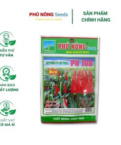 Hạt Giống Ớt Chỉ Thiên PN 168