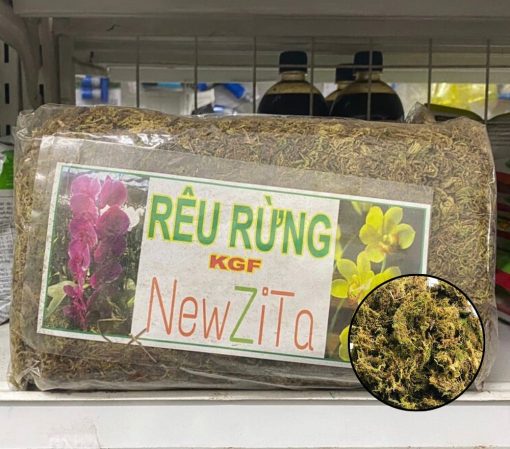 Rêu rừng trồng lan New Zita (Túi 100g) - Rêu rừng khô phủ rễ, giữ ẩm tốt, cây nhanh ra rễ