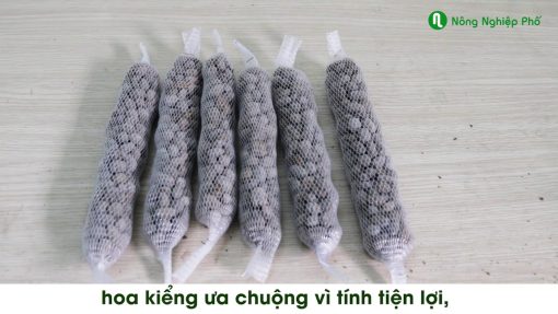 Phân dê dùng cho lan dạng túi tan chậm
