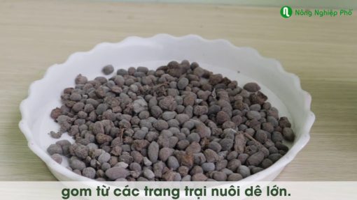 Phân dê qua xử lý hàng chuẩn ( chuyên cho lan và hoa hồng ) - 1 túi