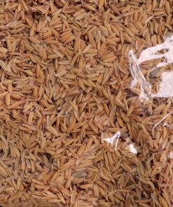 Giá thể trấu sống 1989 - Tơi xốp, cung cấp dinh dưỡng trộn đất trồng hoa kiểng và cây trồng