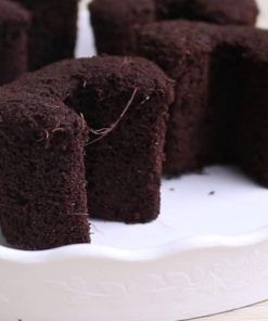 Mút hữu cơ ươm keiki lan