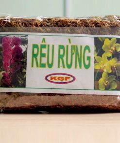 Rêu rừng trồng lan New Zita (Túi 100g) - Rêu rừng khô phủ rễ, giữ ẩm tốt, cây nhanh ra rễ