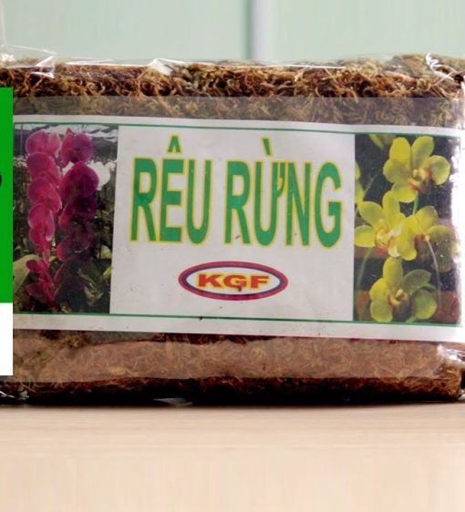 Rêu rừng trồng lan New Zita (Túi 100g) - Rêu rừng khô phủ rễ, giữ ẩm tốt, cây nhanh ra rễ