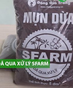 Mụn dừa SFARM đã qua xử lý – Tơi xốp, giữ ẩm cực tốt, trồng rau sạch