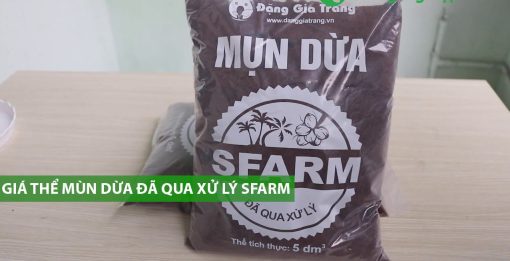 Mụn dừa SFARM đã qua xử lý – Tơi xốp, giữ ẩm cực tốt, trồng rau sạch