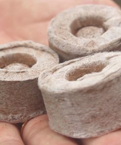 Viên nén xơ dừa ươm hạt