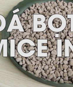 Đá Pumice – Đá bọt trồng cây thoáng khí, giữ ẩm, thoát nước tốt cho cây cảnh