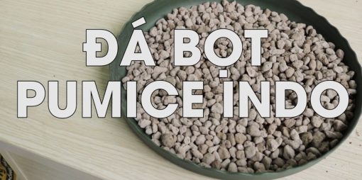 Đá Pumice – Đá bọt trồng cây thoáng khí, giữ ẩm, thoát nước tốt cho cây cảnh