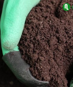 Phân trùn quế cao cấp Sfarm đã qua xử lý- Chuyên bón cho rau sạch, kiểng lá và hoa hồng